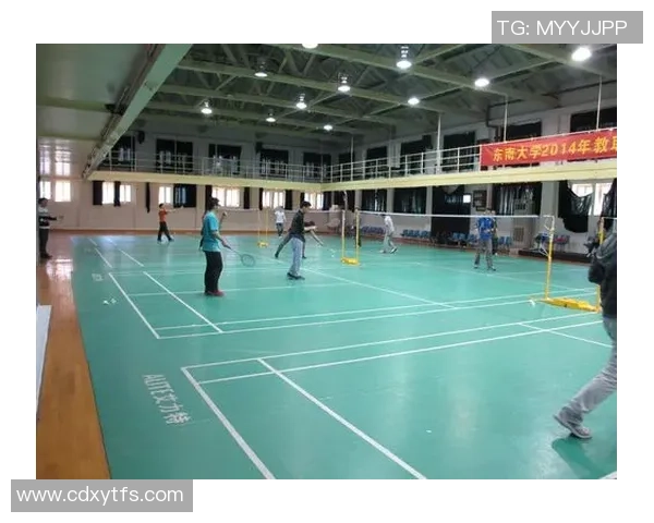 南京羽毛球队在联合会杯中的战术分析与表现评估