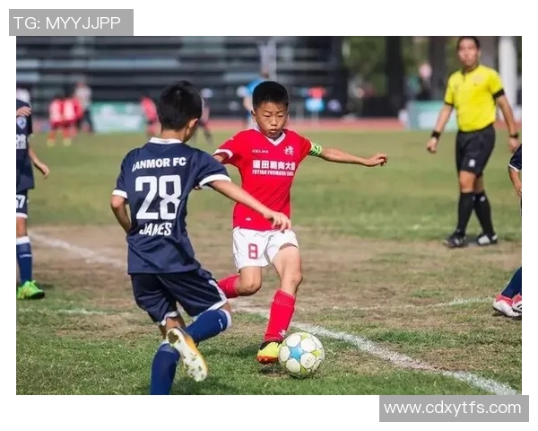 深圳足球队实力强劲荣登全国足球实力排行榜第九名
