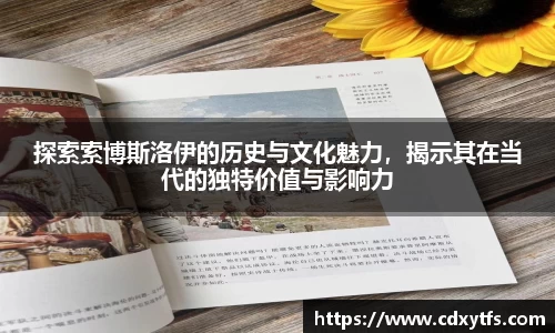 探索索博斯洛伊的历史与文化魅力，揭示其在当代的独特价值与影响力