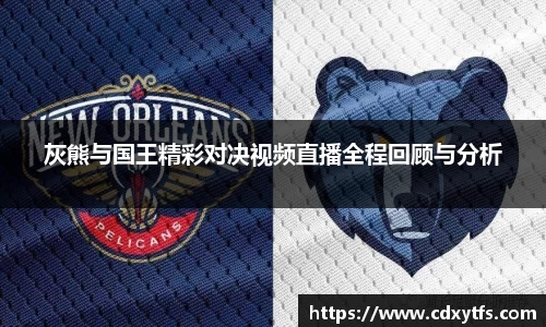 灰熊与国王精彩对决视频直播全程回顾与分析